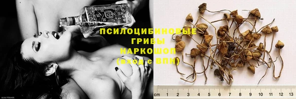 jwh Беломорск