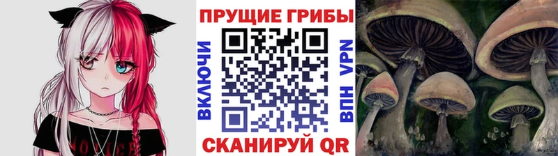 Псилоцибиновые грибы Psilocybine cubensis Очёр